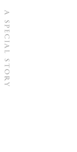 全てのお酒にストーリーがある